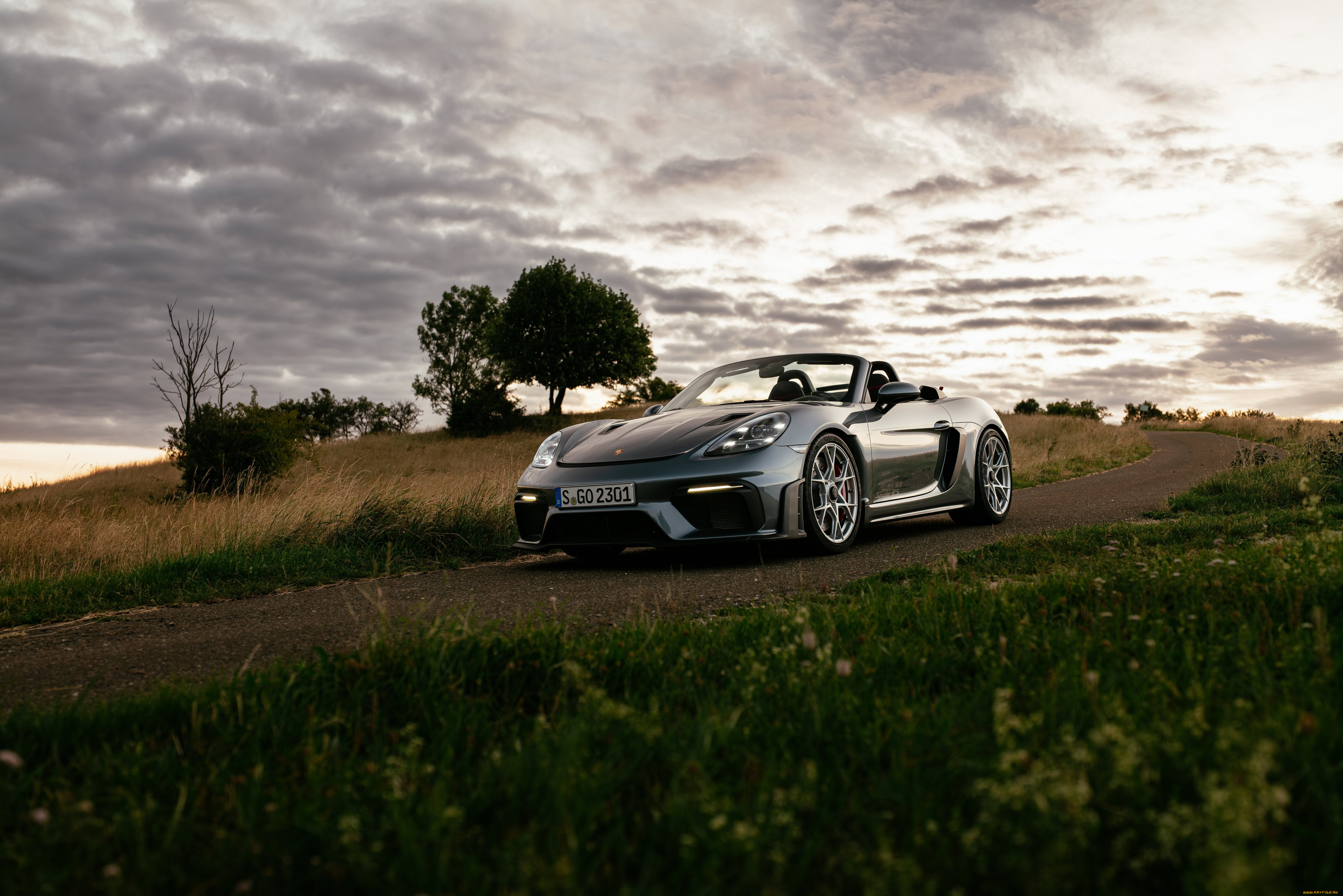 , porsche